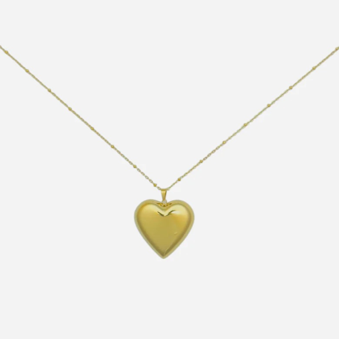 Big heart - ketting lang