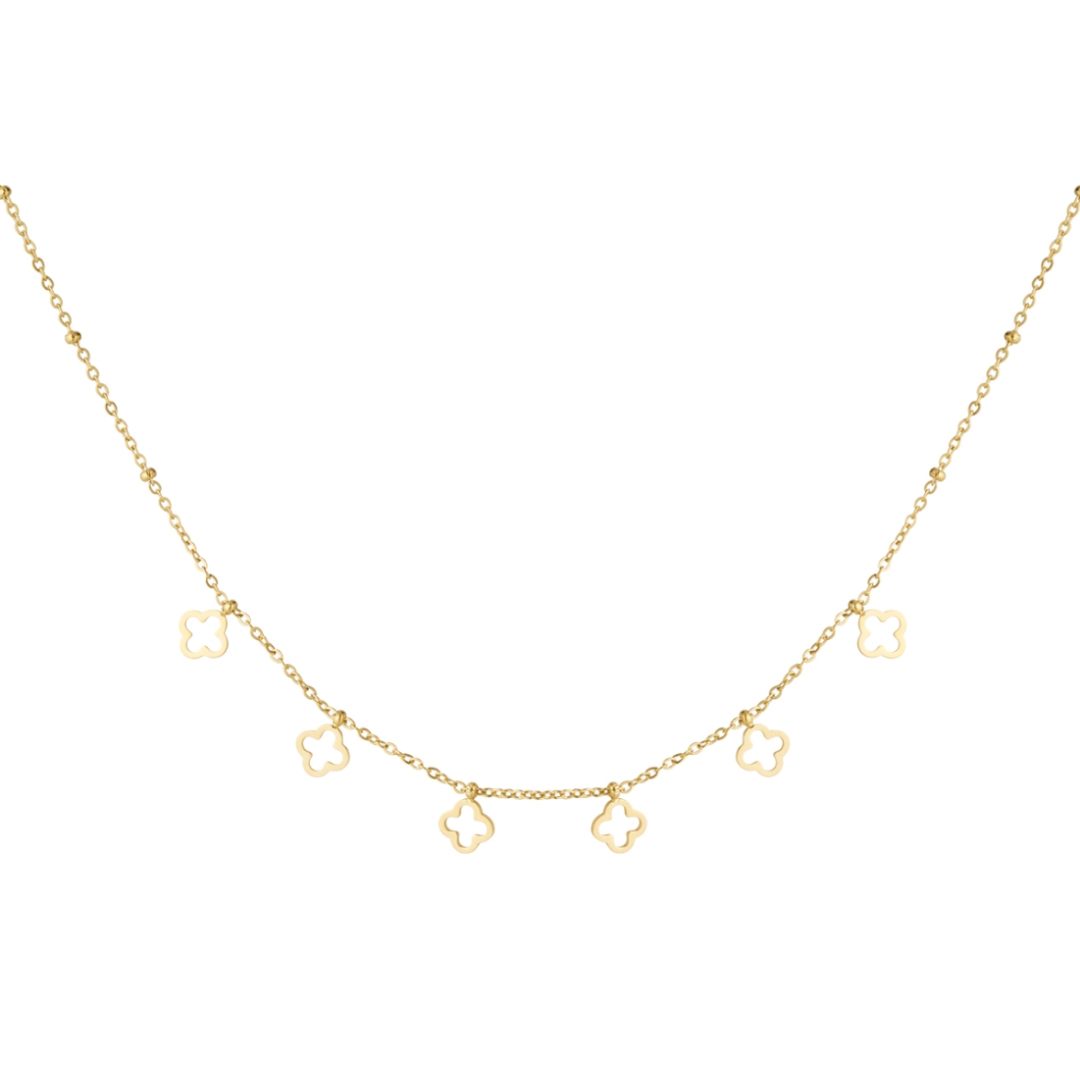 lots of clovers - ketting