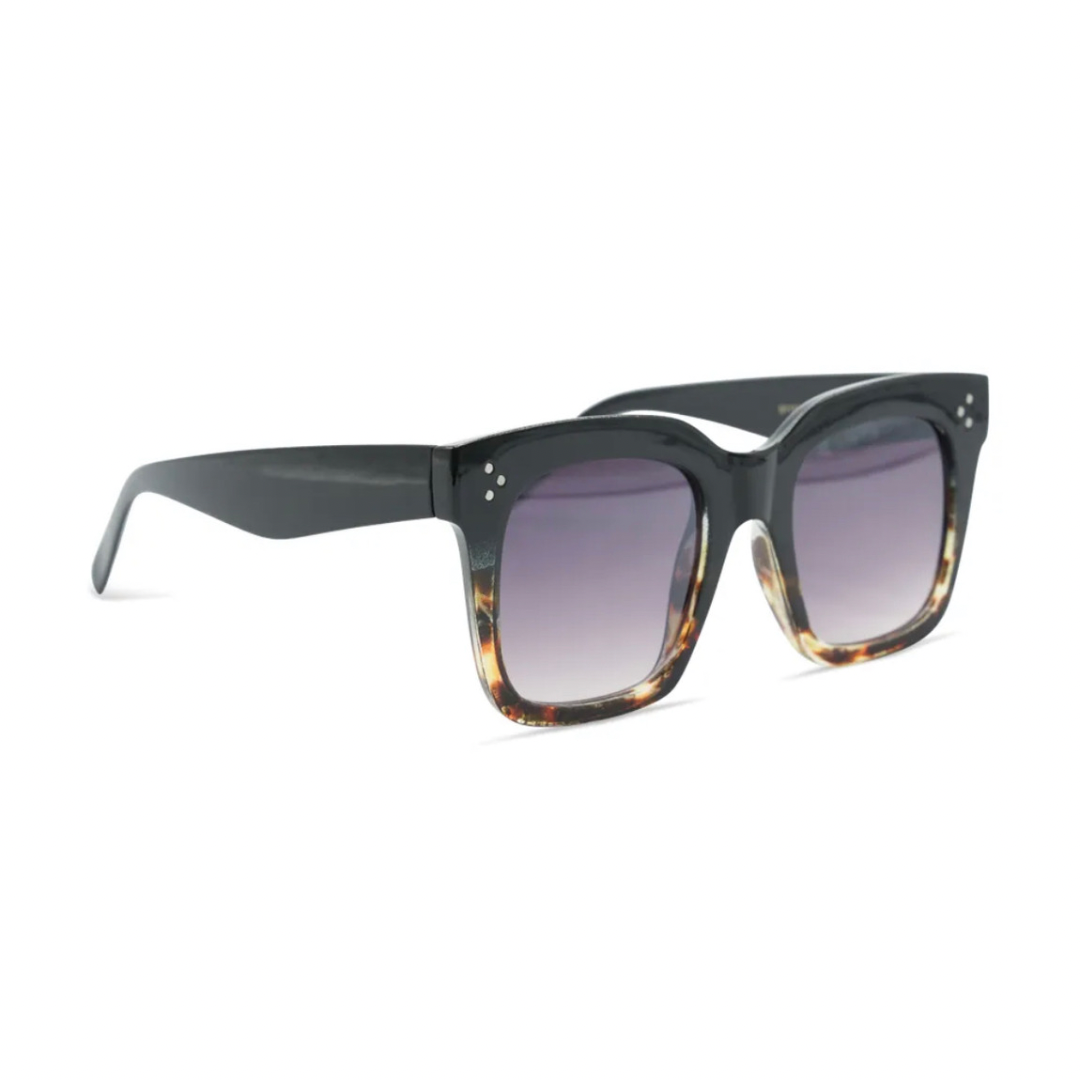 Big sunnies - zwart/bruin