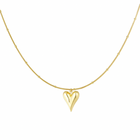Big heart - ketting